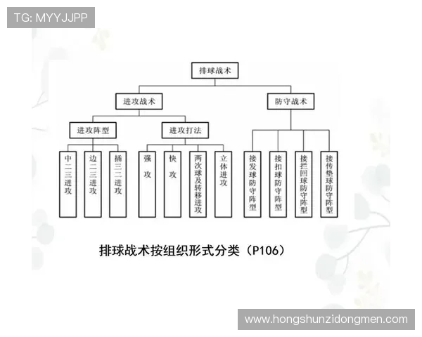 杭州排球队意识排名创新高展现团队实力与战术智慧